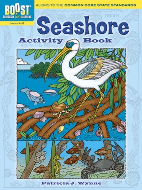 BOOST Seashore Activity Book, Paperback / softback Book