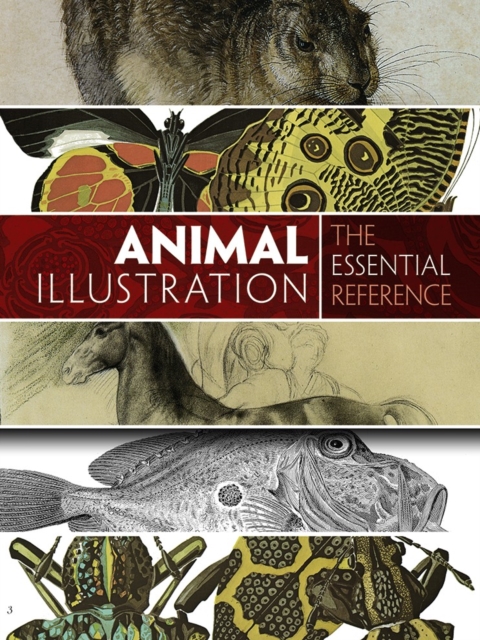 Animal Illustration: The Essential Reference, Paperback / softback Book