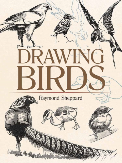 Drawing Birds, Paperback / softback Book