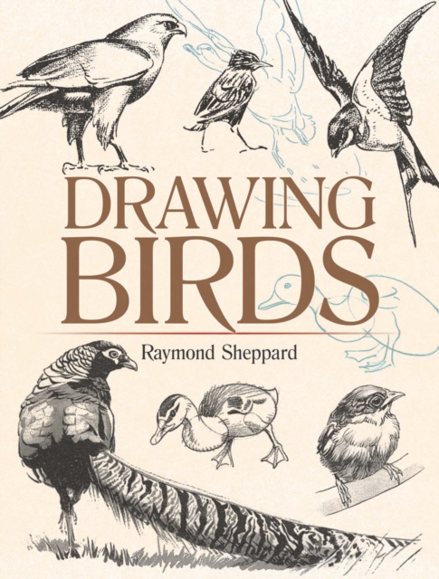 Drawing Birds, EPUB eBook