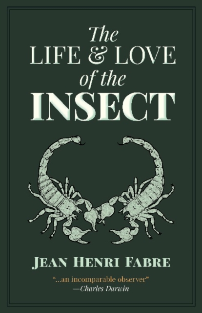 The Life and Love of the Insect, Paperback / softback Book