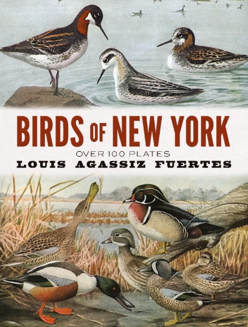 Birds of New York : Over 100 Plates, Paperback / softback Book
