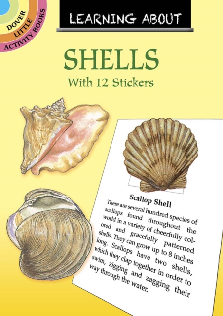 Learning About Shells, Paperback / softback Book
