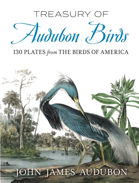 Treasury of Audubon Birds, EPUB eBook