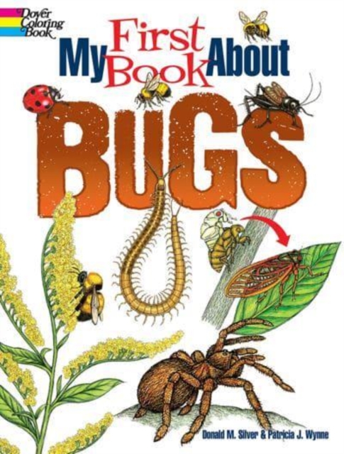 My First Book About Bugs, Paperback / softback Book