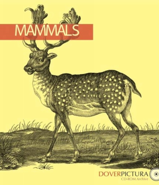 Mammals, Paperback Book