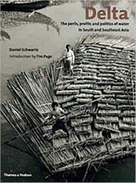 Delta : The Perils, Profits and Politics of Water in South and Southeast Asia, Paperback / softback Book