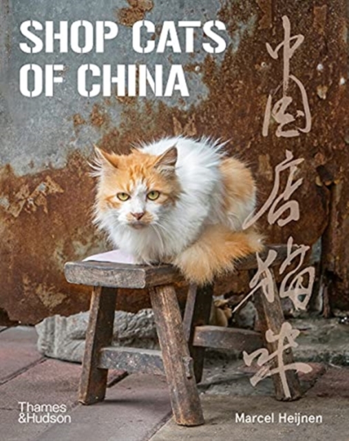 Shop Cats of China, Paperback / softback Book