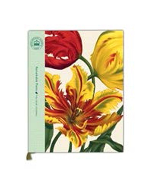 Remarkable Plants: Five-Year Journal, Record book Book