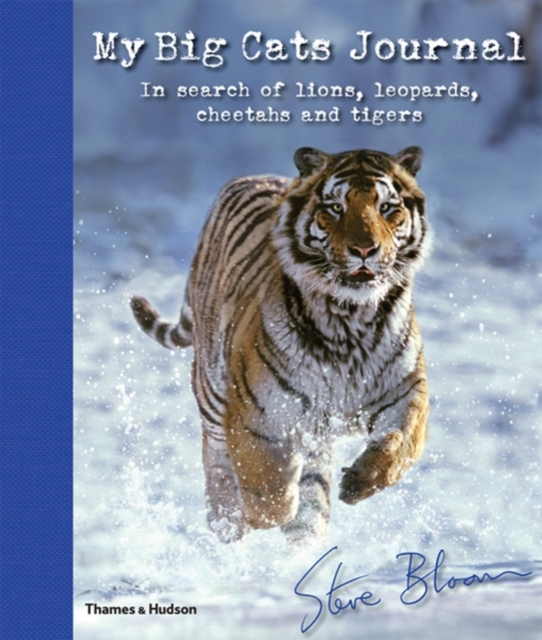 My Big Cats Journal : In search of lions, leopards, cheetahs and tigers, Hardback Book