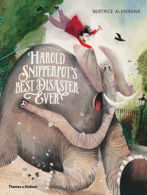 Harold Snipperpot’s Best Disaster Ever, Hardback Book
