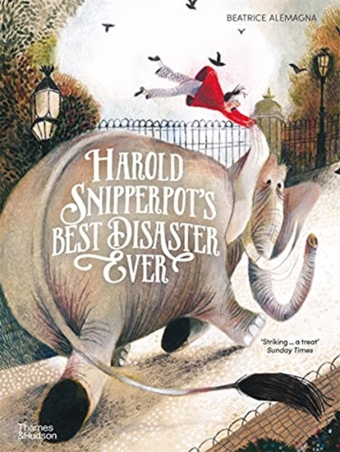 Harold Snipperpot’s Best Disaster Ever, Paperback / softback Book