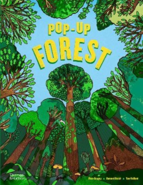 Pop-Up Forest, Hardback Book
