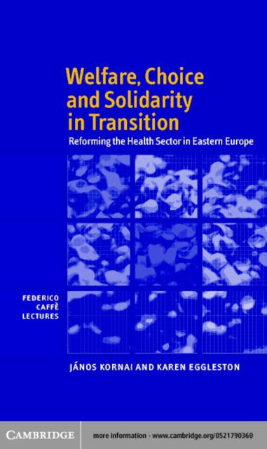 Welfare, Choice and Solidarity in Transition : Reforming the Health Sector in Eastern Europe, PDF eBook