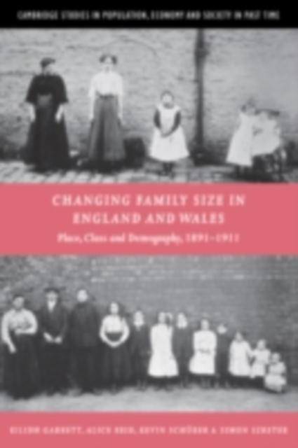Changing Family Size in England and Wales : Place, Class and Demography, 1891-1911, PDF eBook
