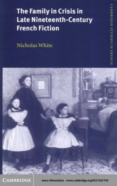Family in Crisis in Late Nineteenth-Century French Fiction, PDF eBook