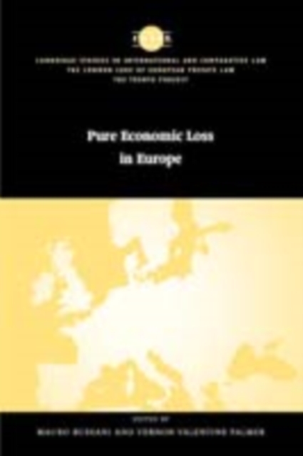 Pure Economic Loss in Europe, PDF eBook