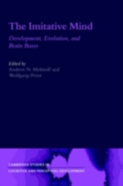 Imitative Mind : Development, Evolution and Brain Bases, PDF eBook