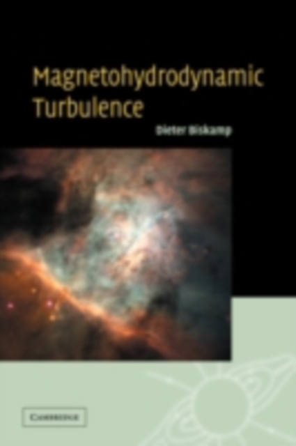 Magnetohydrodynamic Turbulence, PDF eBook