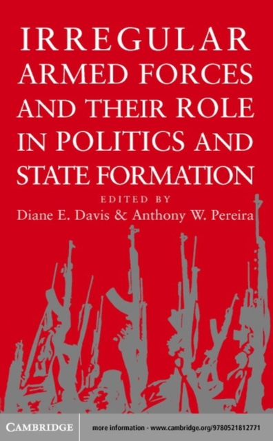 Irregular Armed Forces and their Role in Politics and State Formation, PDF eBook
