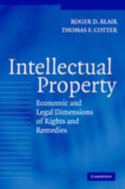Intellectual Property : Economic and Legal Dimensions of Rights and Remedies, PDF eBook
