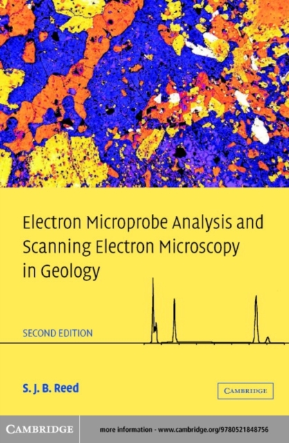 Electron Microprobe Analysis and Scanning Electron Microscopy in Geology, PDF eBook