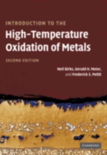 Introduction to the High Temperature Oxidation of Metals, PDF eBook