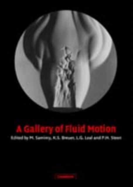 Gallery of Fluid Motion, PDF eBook