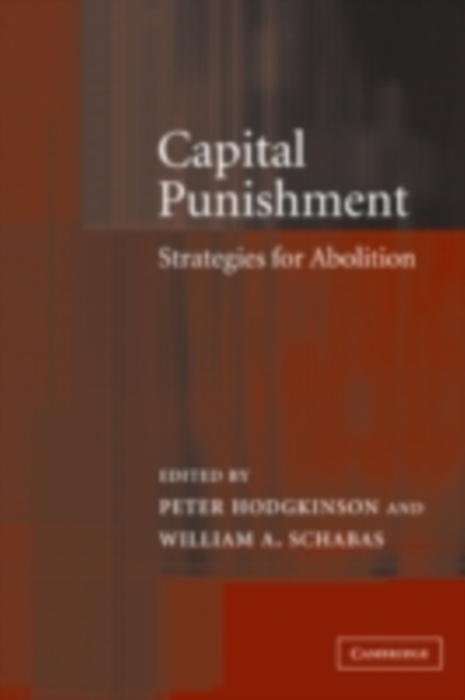 Capital Punishment : Strategies for Abolition, PDF eBook