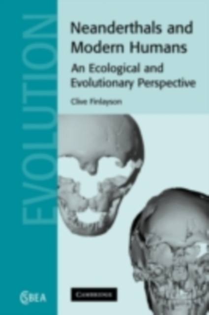 Neanderthals and Modern Humans : An Ecological and Evolutionary Perspective, PDF eBook