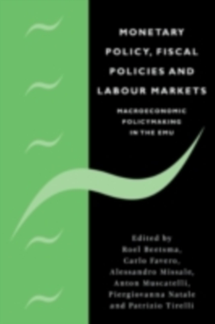 Monetary Policy, Fiscal Policies and Labour Markets : Macroeconomic Policymaking in the EMU, PDF eBook