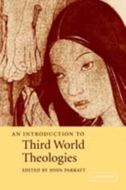 Introduction to Third World Theologies, PDF eBook