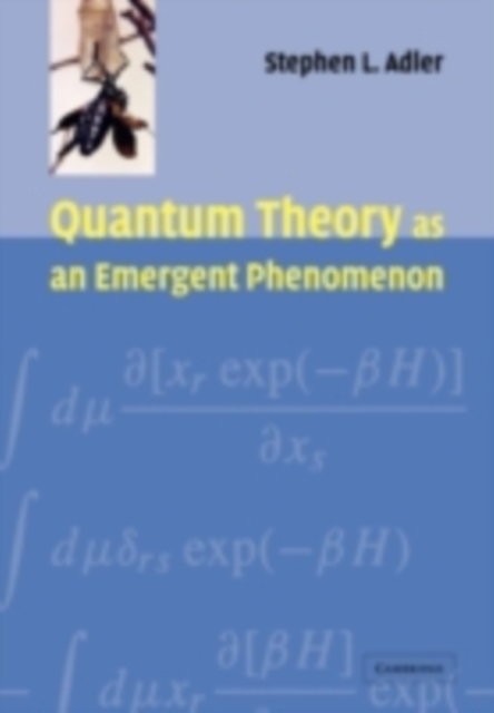 Quantum Theory as an Emergent Phenomenon : The Statistical Mechanics of Matrix Models as the Precursor of Quantum Field Theory, PDF eBook