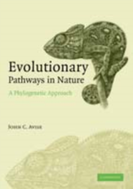 Evolutionary Pathways in Nature : A Phylogenetic Approach, PDF eBook
