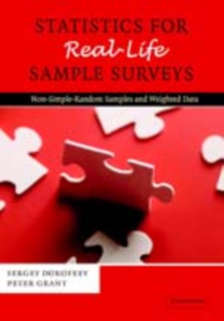 Statistics for Real-Life Sample Surveys : Non-Simple-Random Samples and Weighted Data, PDF eBook