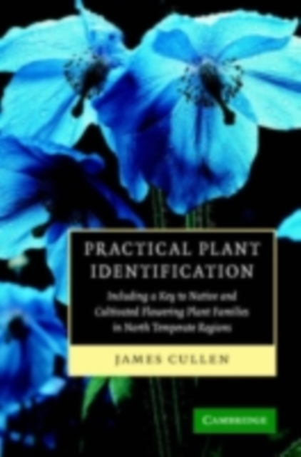 Practical Plant Identification : Including a Key to Native and Cultivated Flowering Plants in North Temperate Regions, PDF eBook