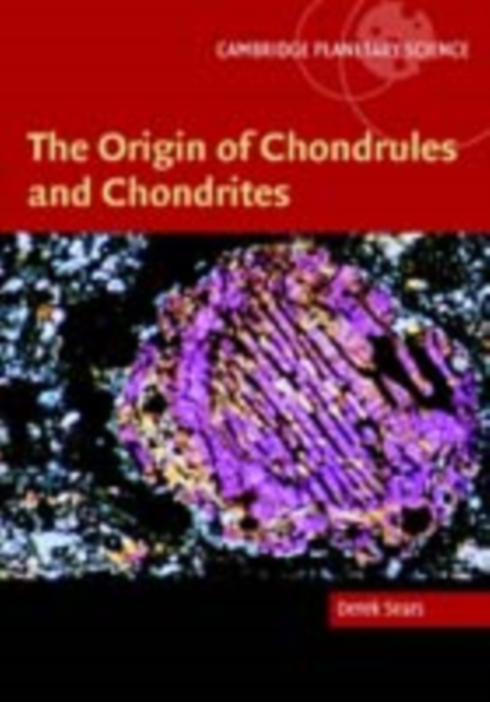 Origin of Chondrules and Chondrites, PDF eBook