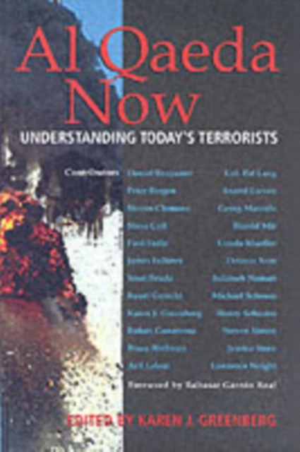 Al Qaeda Now : Understanding Today's Terrorists, PDF eBook