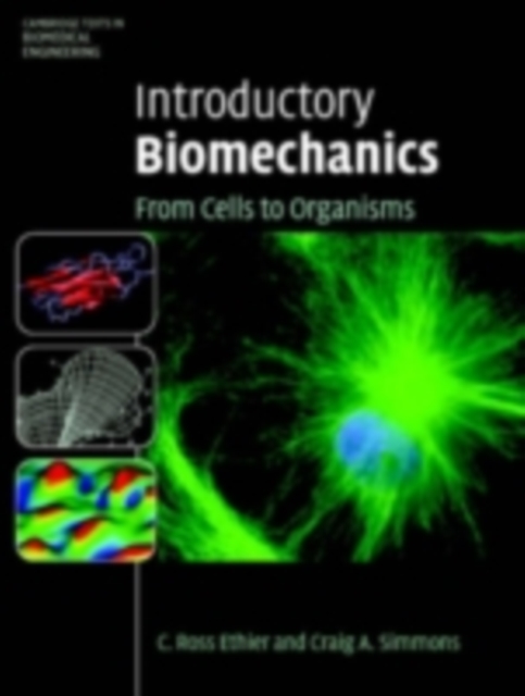 Introductory Biomechanics : From Cells to Organisms, PDF eBook