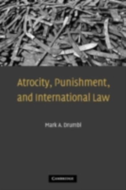 Atrocity, Punishment, and International Law, PDF eBook