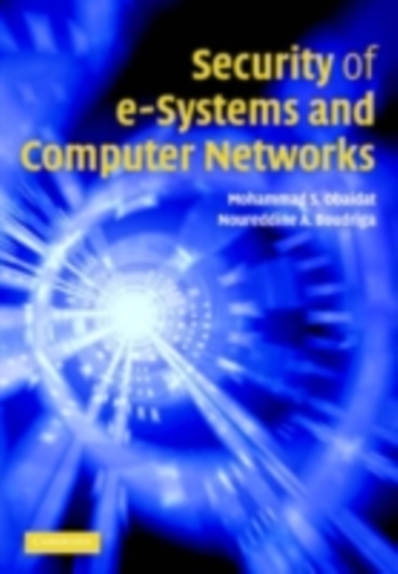 Security of e-Systems and Computer Networks, PDF eBook