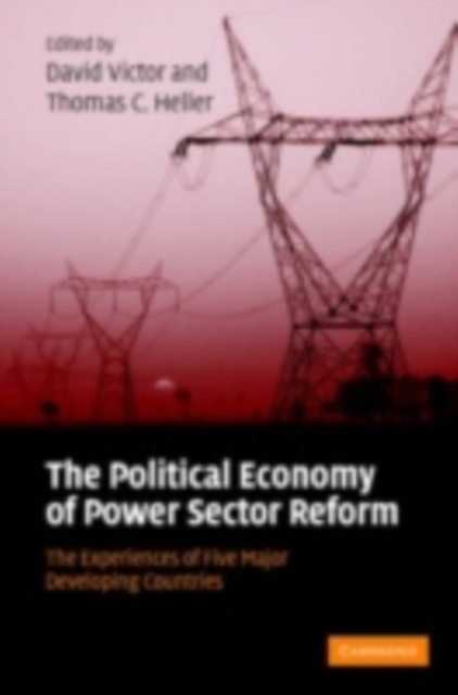 Political Economy of Power Sector Reform : The Experiences of Five Major Developing Countries, PDF eBook