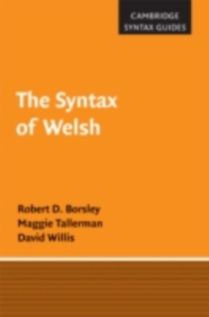Syntax of Welsh, PDF eBook