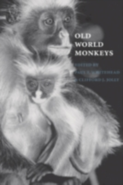 Old World Monkeys, PDF eBook