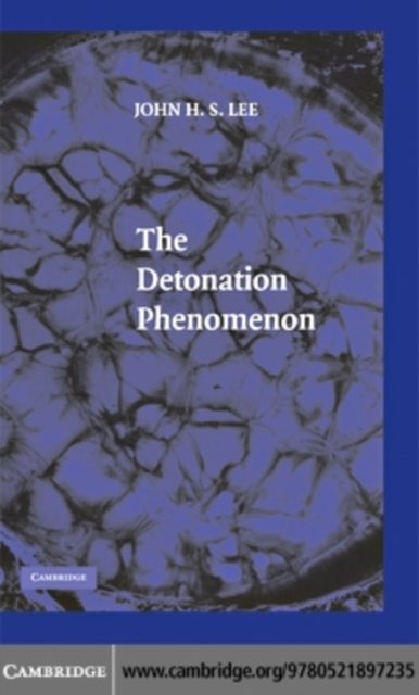 Detonation Phenomenon, PDF eBook