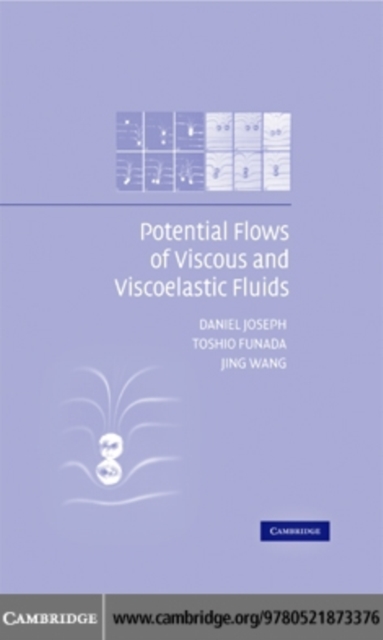 Potential Flows of Viscous and Viscoelastic Liquids, PDF eBook