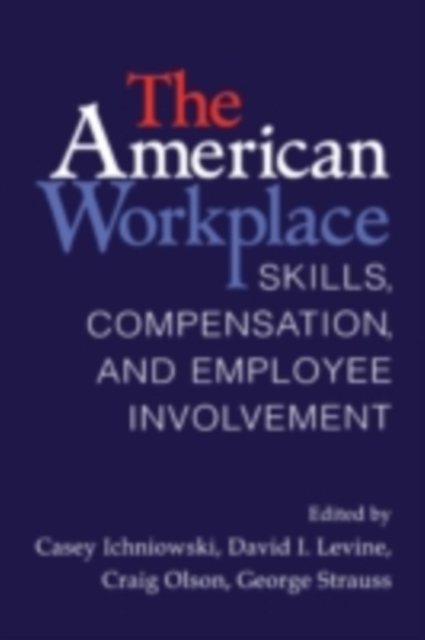 American Workplace : Skills, Pay, and Employment Involvement, PDF eBook