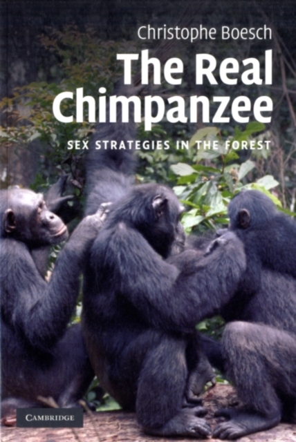 Real Chimpanzee : Sex Strategies in the Forest, PDF eBook