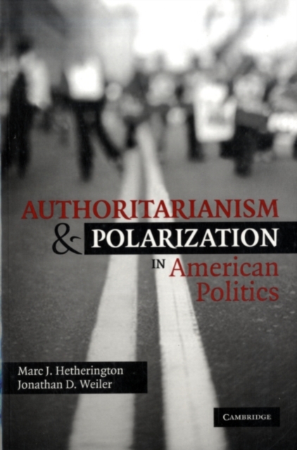 Authoritarianism and Polarization in American Politics, PDF eBook