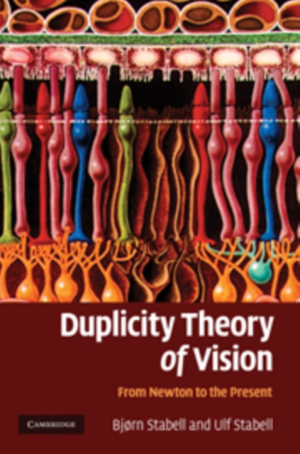 Duplicity Theory of Vision : From Newton to the Present, PDF eBook